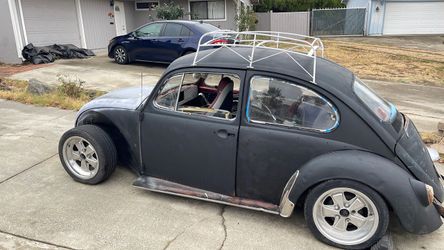 1969 bug