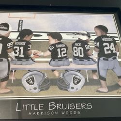 9 x 11 picture Raiders