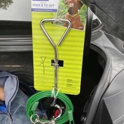 Sake Out For Large Dog 