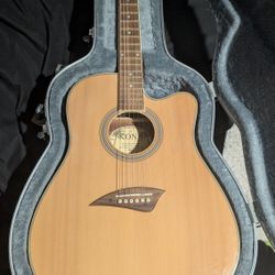Electro-Acoustic Guitar and Case