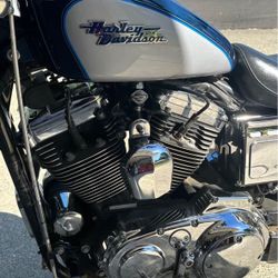 Harley Davidson CUSTOM 1200, 2002