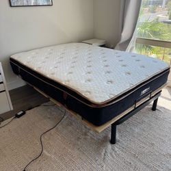 Full XL Adjustable Motorized Electric Bed, Spring Mattress, and Molecule AirTec Mattress Topper