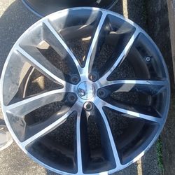 OEM Dodge Challenger Scat Pack