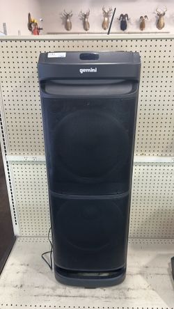 Gemini speaker