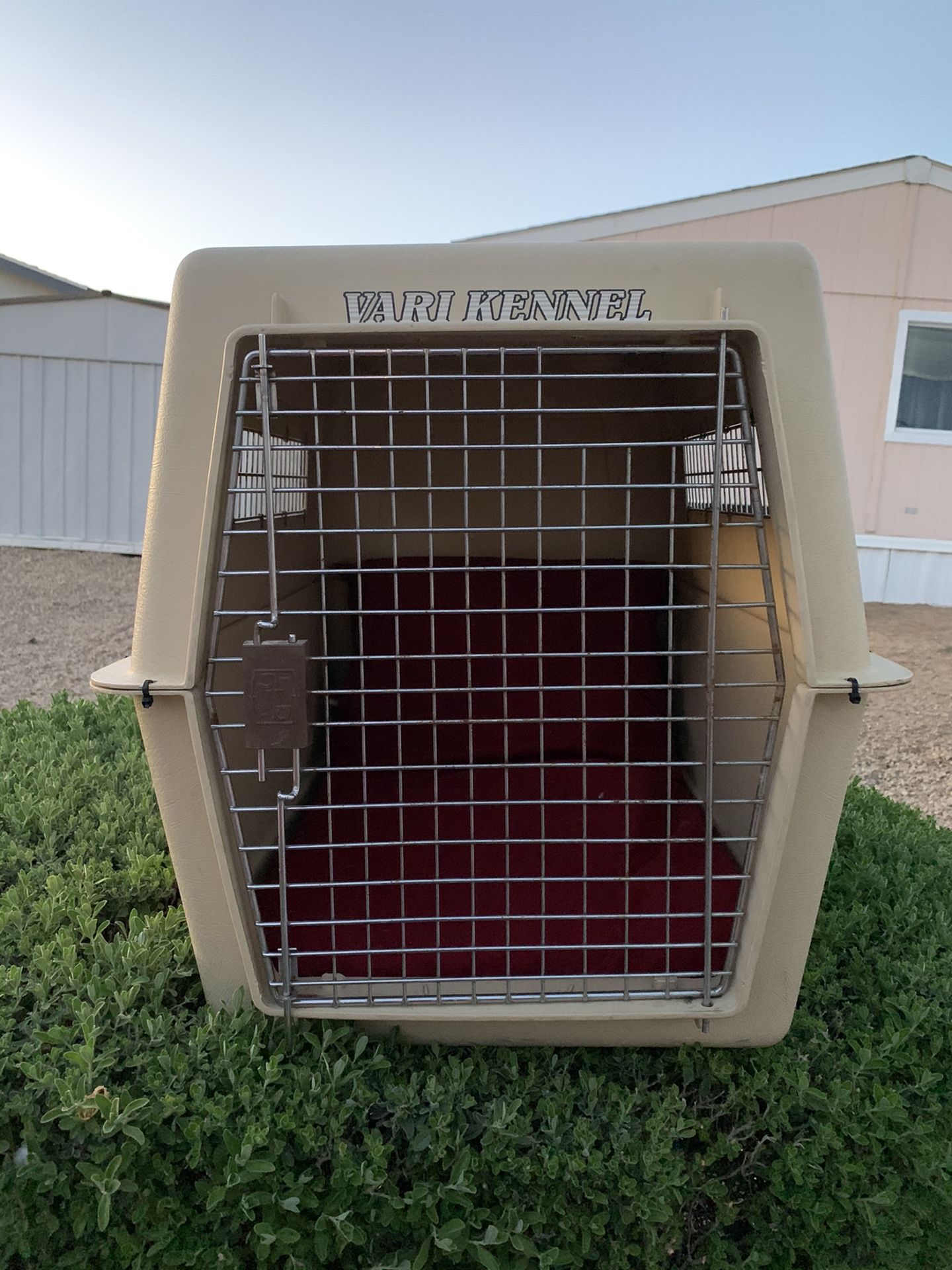Dog crate Vari Kennel size large for Sale in Phoenix, AZ OfferUp