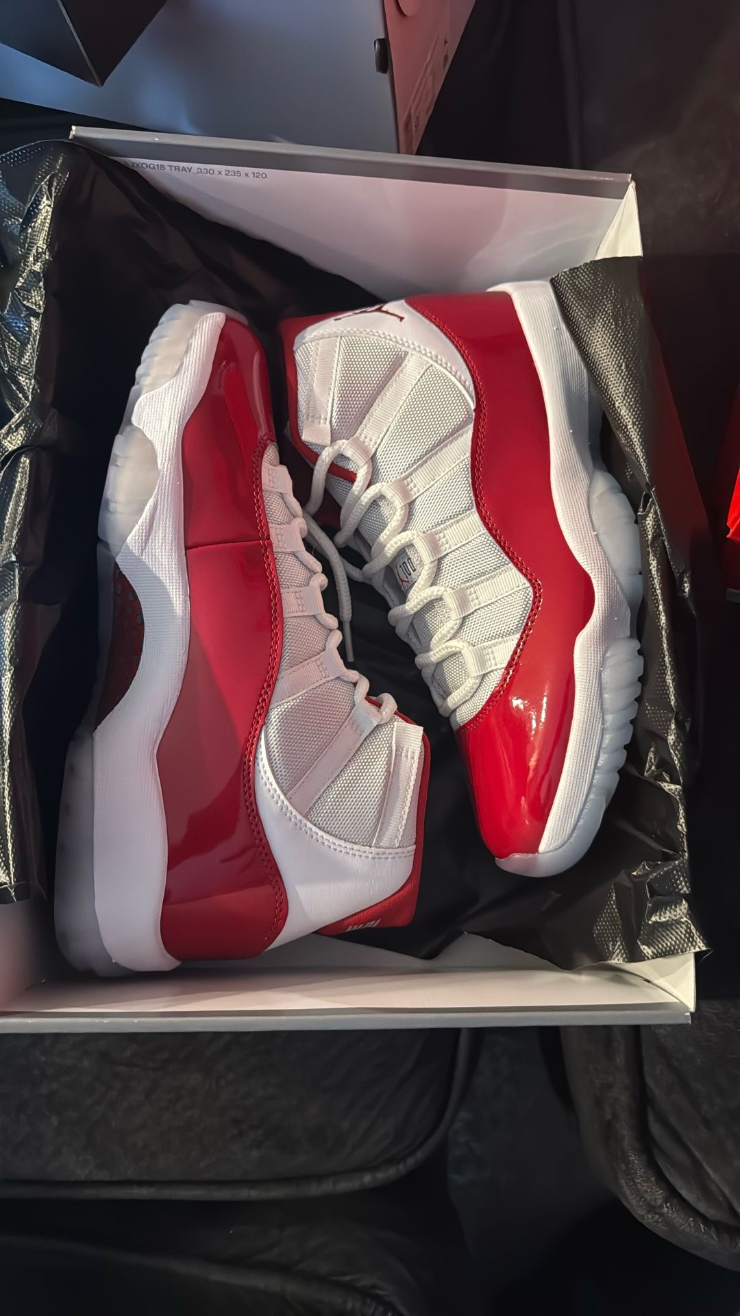Jordan 11 Cherry
