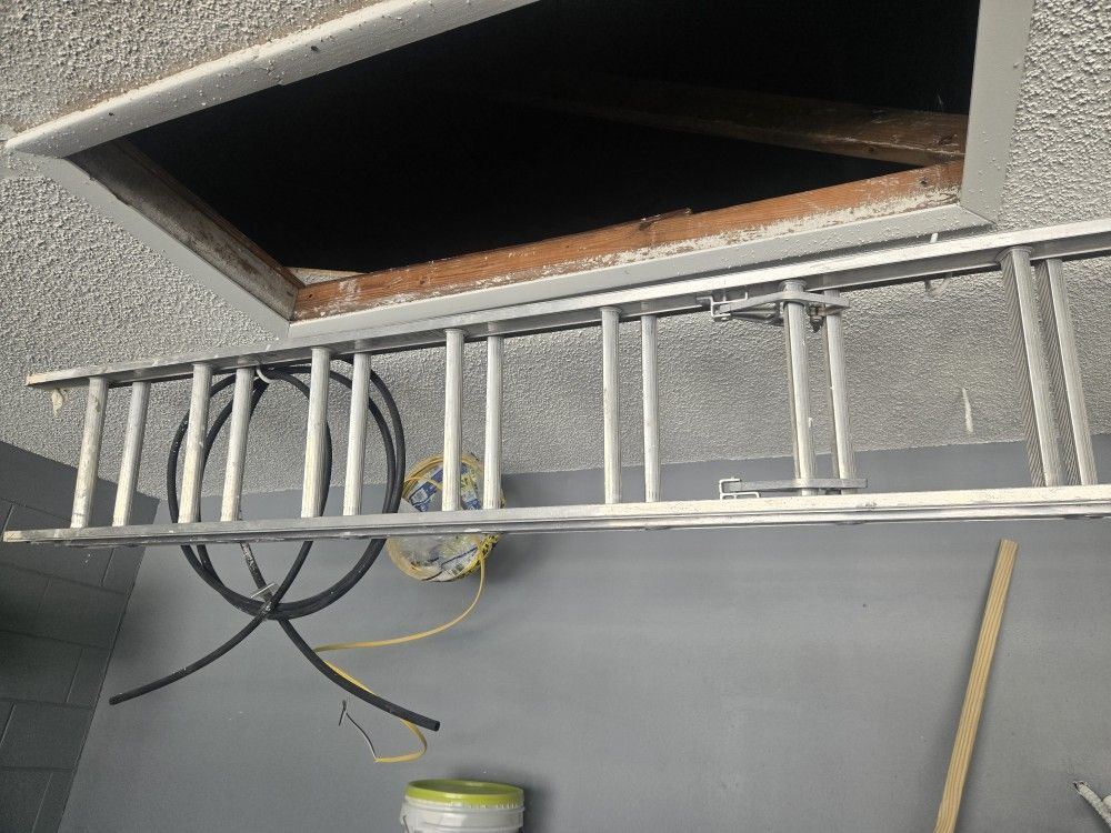 16' Ladder