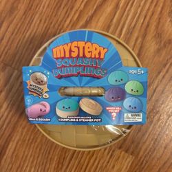 Mystery dumpling in steamer pot squishy fidget toy