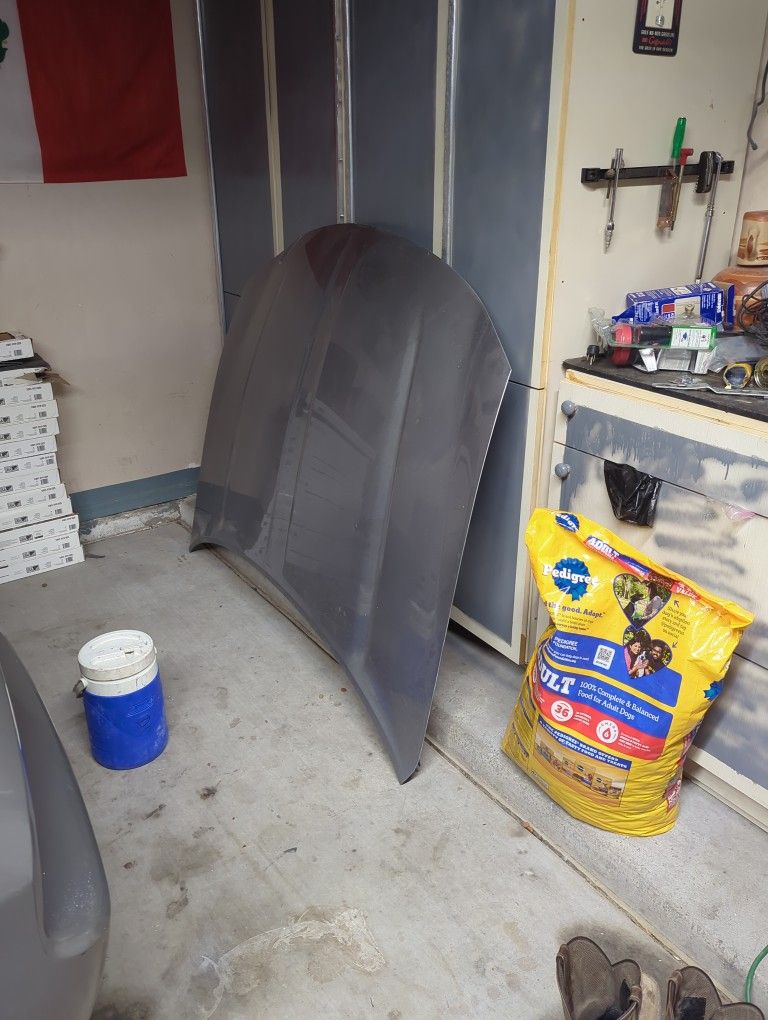2016 Dodge Charger Hood 