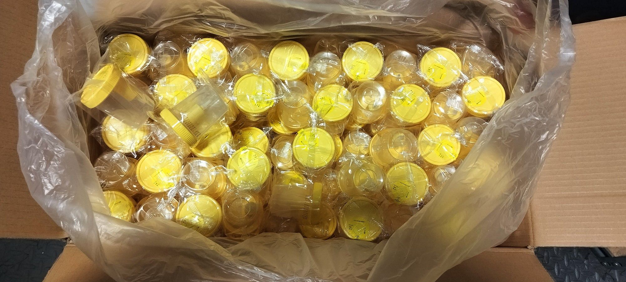 250 CASE Urine Collection Container 100 ML 