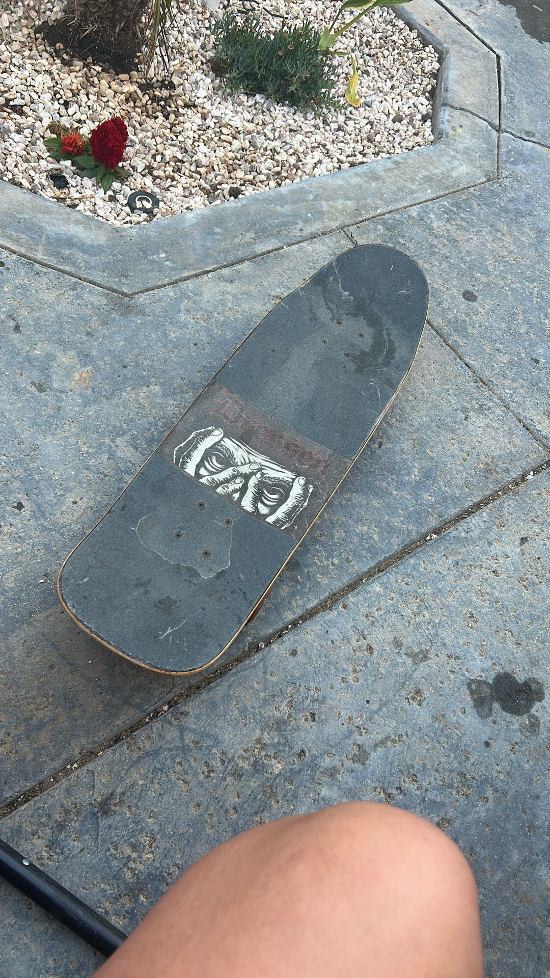 Santa Cruz Skate Board