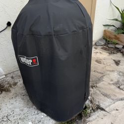 Charcoal Or Wood Burning BBQ