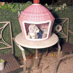 Clean Cat hide out