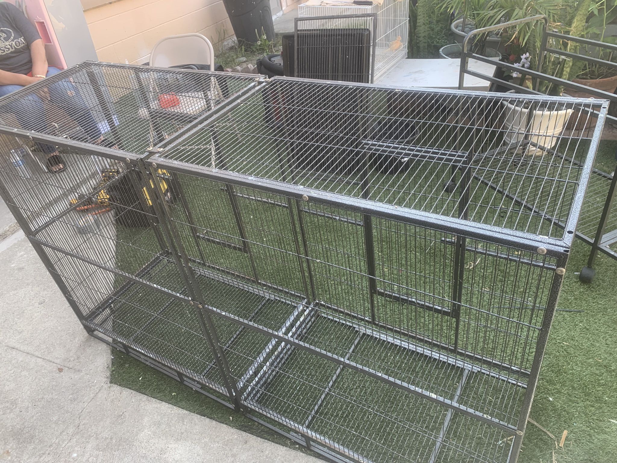 Bird Cage