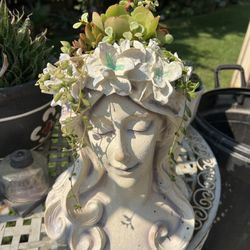 Beautiful Large Head Planters