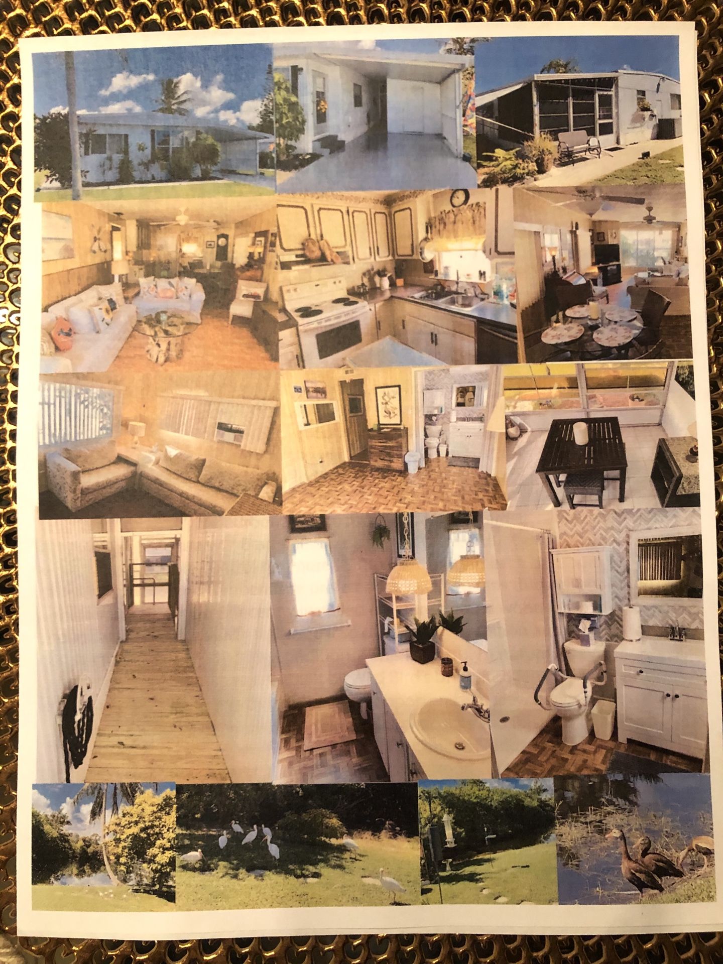 Manufacture Home