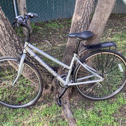 Bianchi Cortina Aluminum City Bike – Great Condition