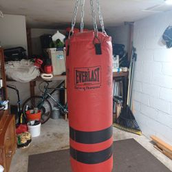 Everlast Heavy Bag