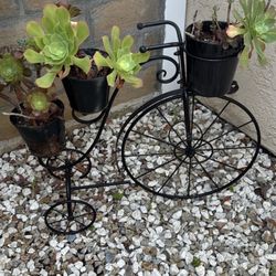 Bicycle Suculenta Planter