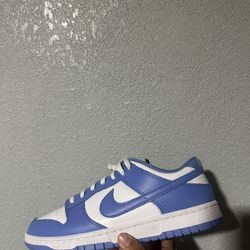 Polar Blue Dunk 