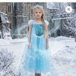 Beautiful Trish Scully Frozen Elsa Ice Queen Princess Dress – Size 10 – $40