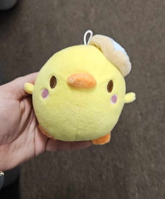 Cute Keychain Plushie
