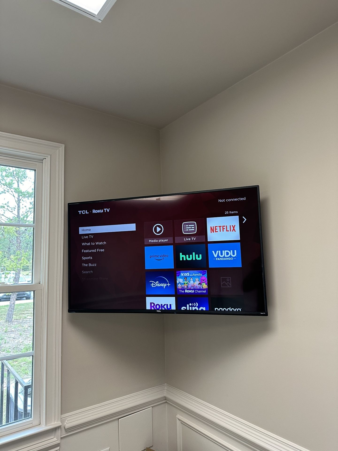 Tv Mount