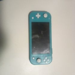 Blue Screen Nintendo Switch Lite