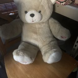 Teddy Bear 