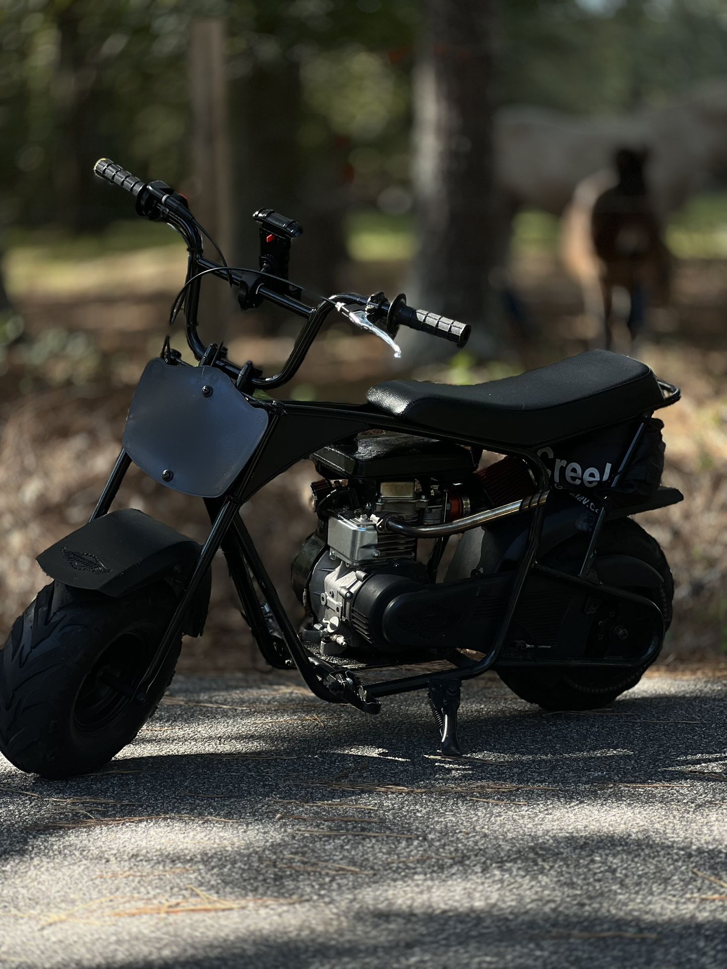 Monster Moto 80cc 3HP Mini Bike