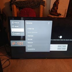 55 Inch LG SMART TV
