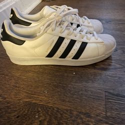 Adidas Shell Toe