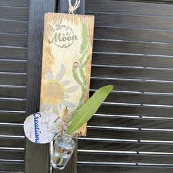 Rustic wall decoration with little plant 🪴