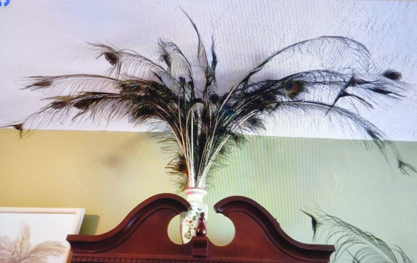 50 Pcs Natural Peacock Feathers with Eyes Tail Feathers for Home Decor, Craftsman Supplies 