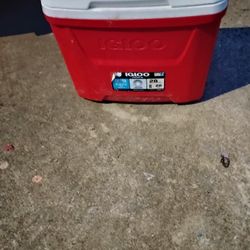 Igloo Cooler 