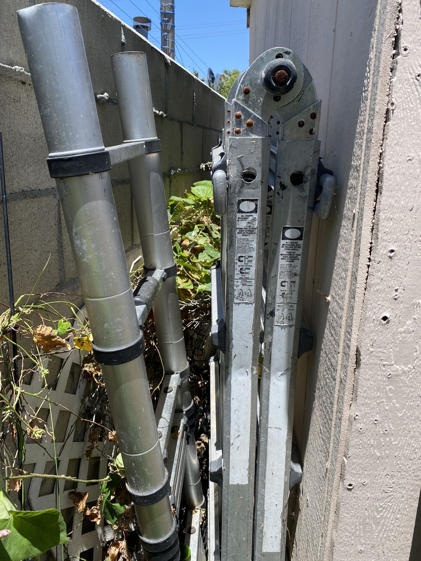 Godzilla 22’, Telemetric Ladder