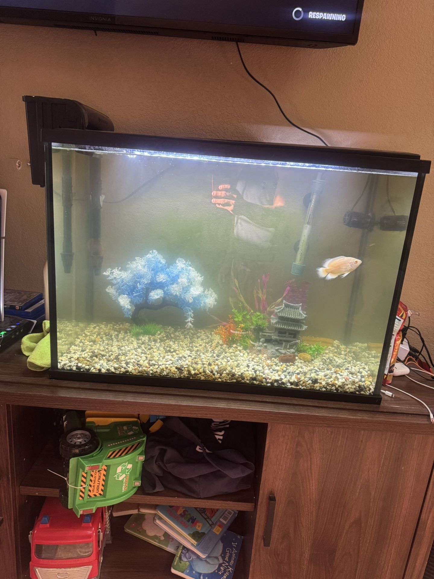 Fish Tank