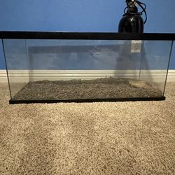 20 Gallon Reptile Tank