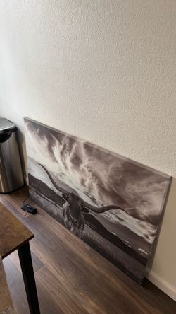 black and white longhorn cow wrapped canvas print