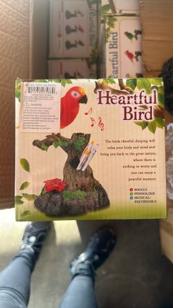 Bird