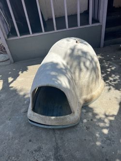 Dog House