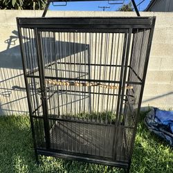 Bird Cage 