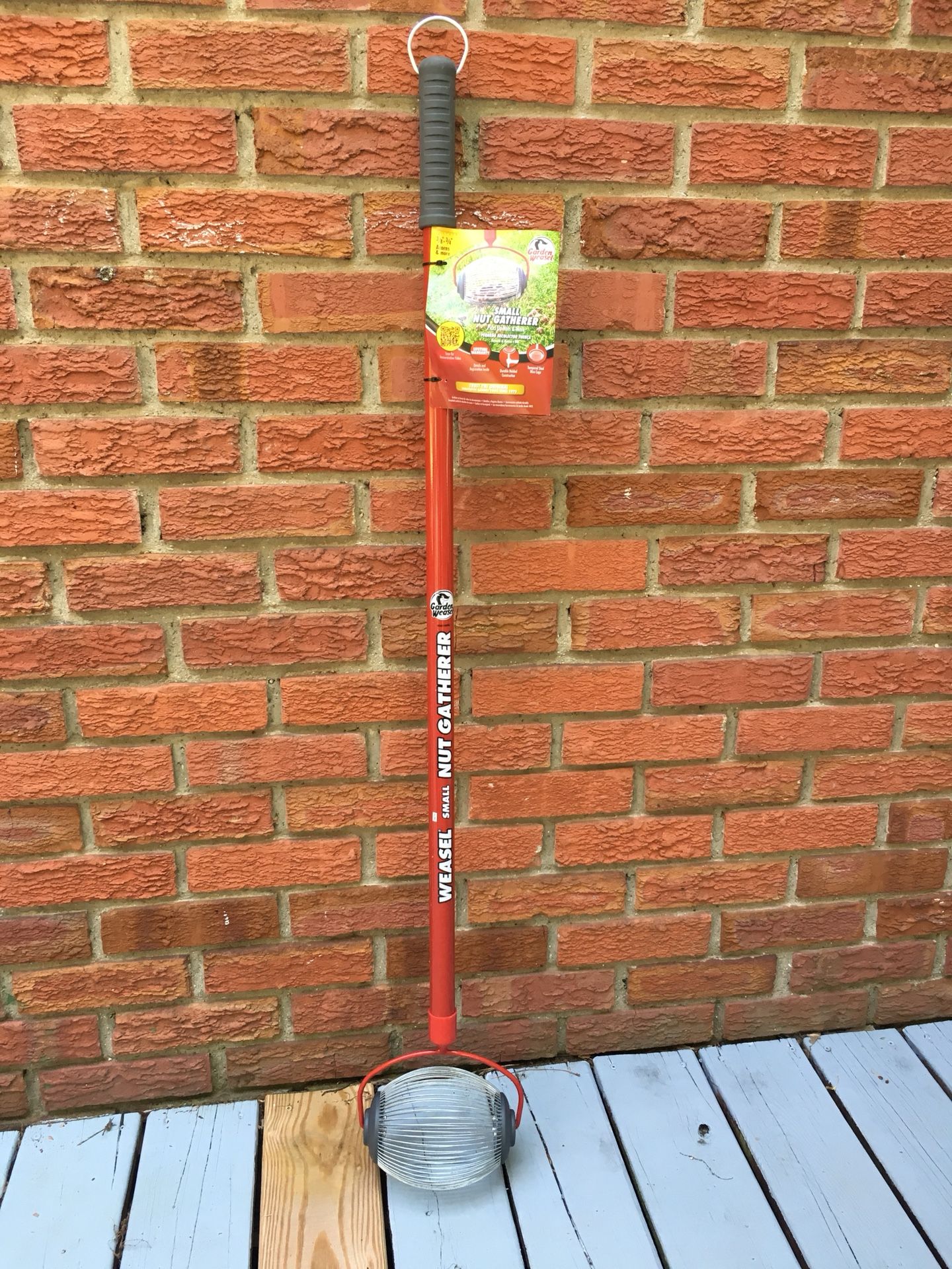 Garden Weasel Nut Gatherer Small Fasci Garden