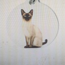 Pet ID Tag