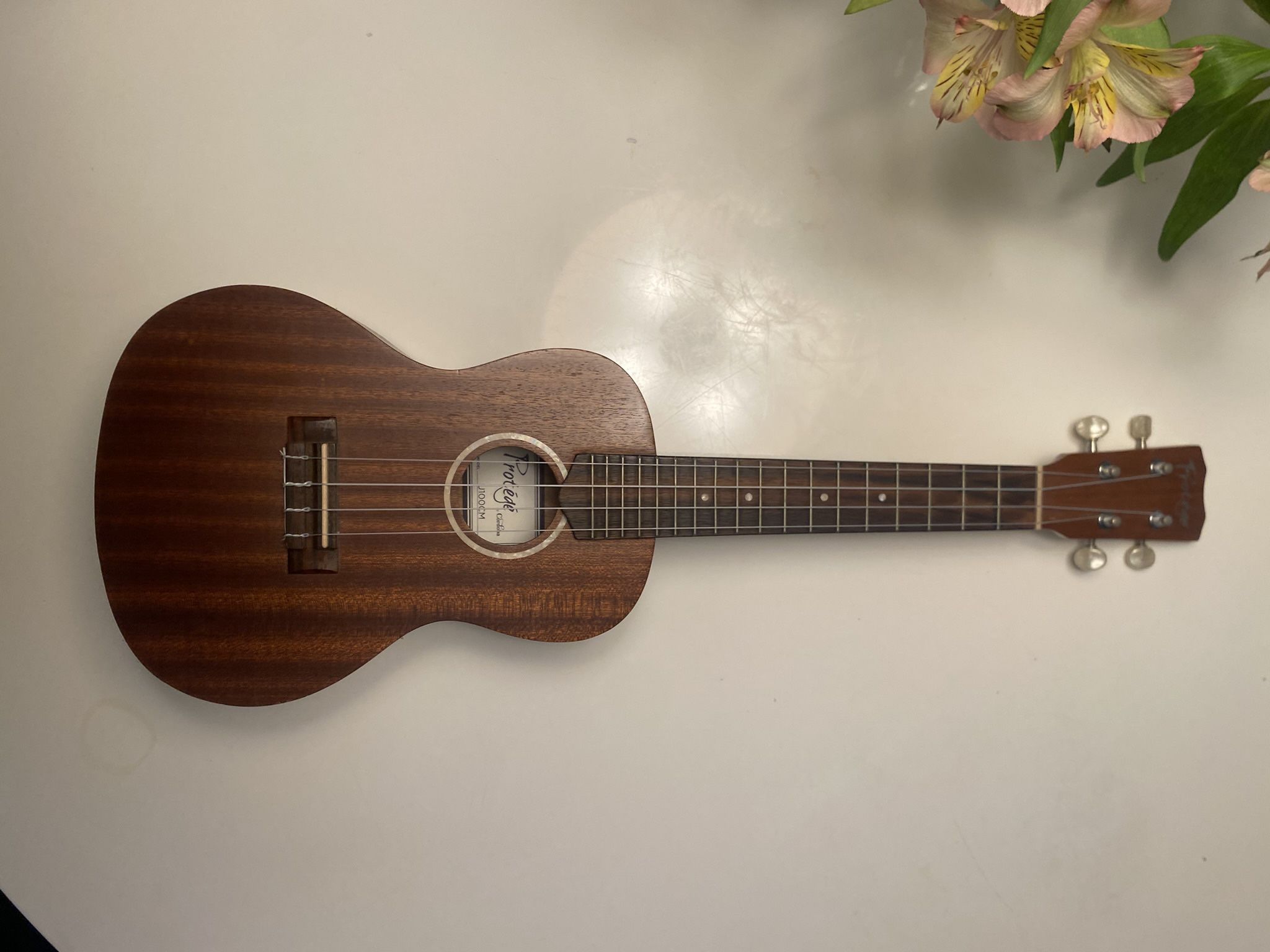 Ukulele