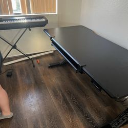 IKEA 70 inch standing desk