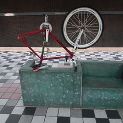 Capacity Fixie