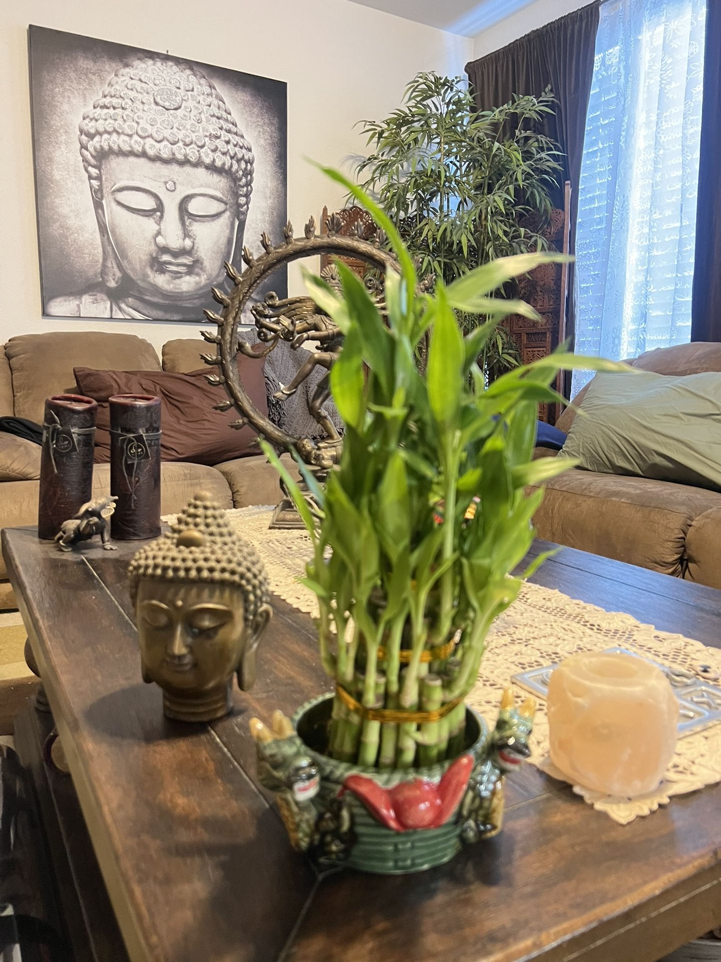 Lucky Bamboo Plant With Dragon Pot