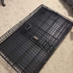 XX Large Kennel