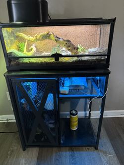 20 Gal Terrarium + Stand